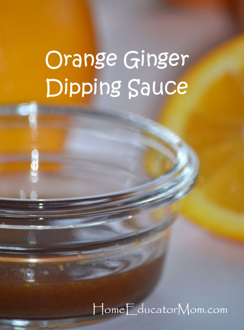Orange-Ginger-Dipping-Sauce