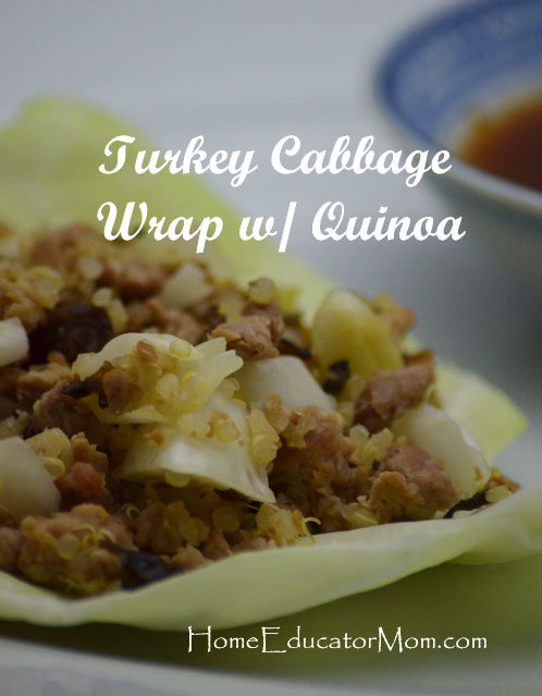 Turkey-Cabbage-Wrap